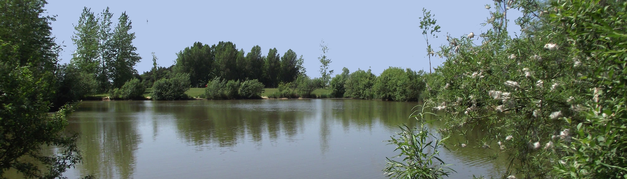 The Lake at Windfarm Park